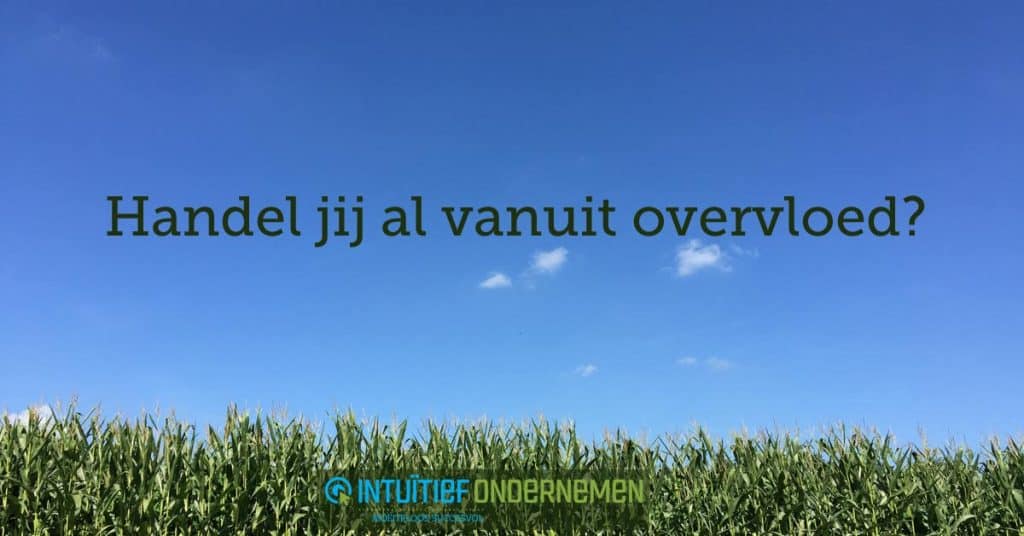 handel-jij-al-vanuit-overvloed