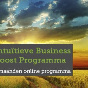 Intuïtieve Business Boost Programma