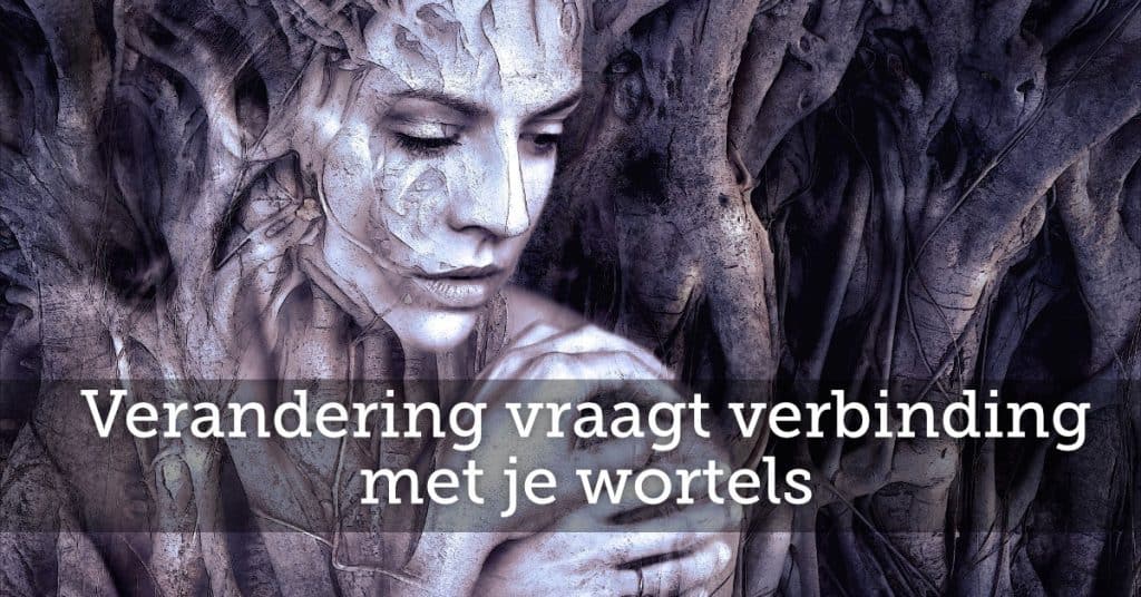 Verandering vraagt verbinding met je wortels