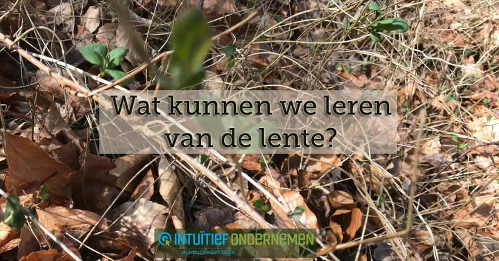 Wat-kunnen-we-leren-van-de-lente