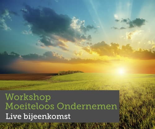 Workshop Moeiteloos Ondernemen