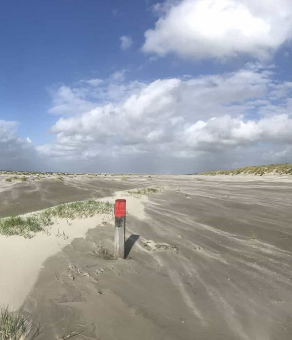 Strand Terschelling - Intuïtief Ondernemen Retraite